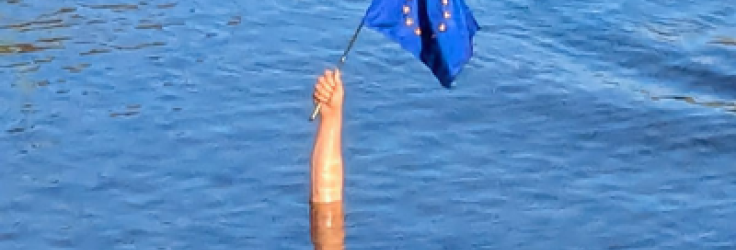 EU Flag Christian Schnurer